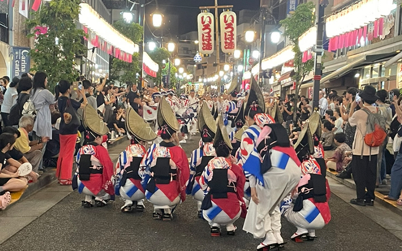 阿波踊りがありました！